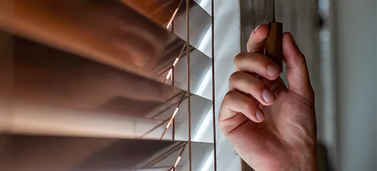 Double Roller Blinds in Oakland, CA