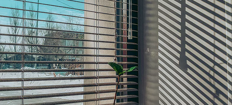 Commercial Window Blinds in Oakland, CA