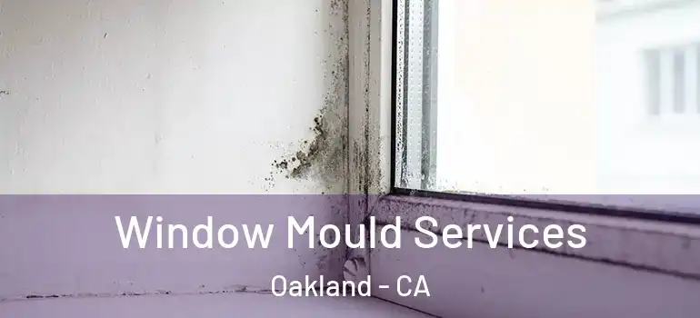  Window Mould Services Oakland - CA